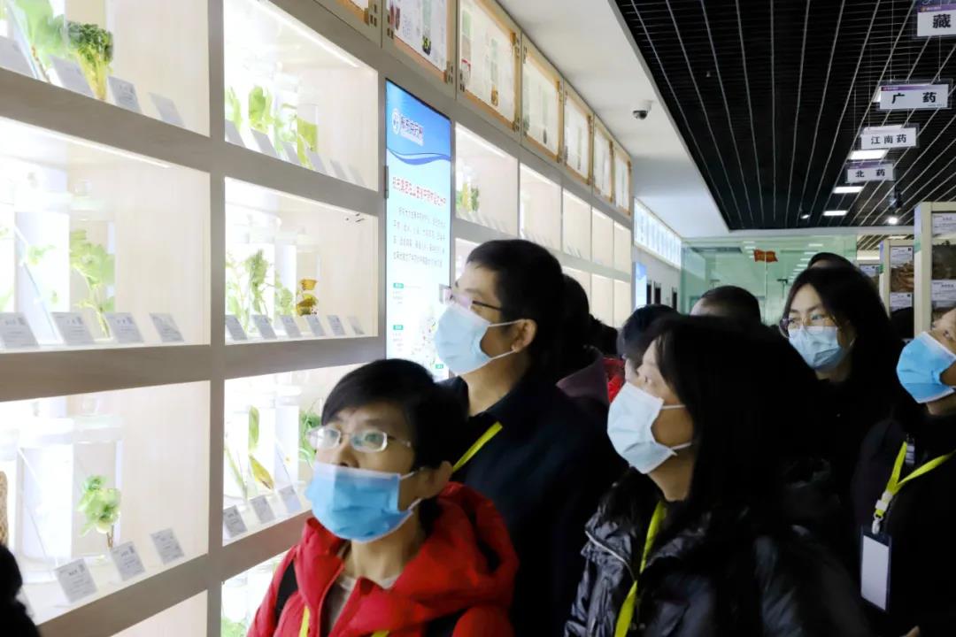 中医药行业大火！这里开设起了“中药材研修班”