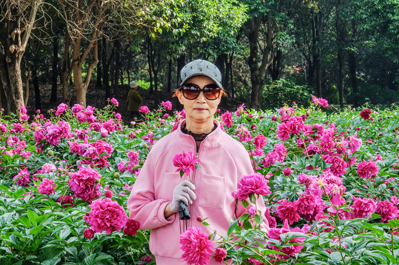 牡丹 未谢幕 芍药己盛开