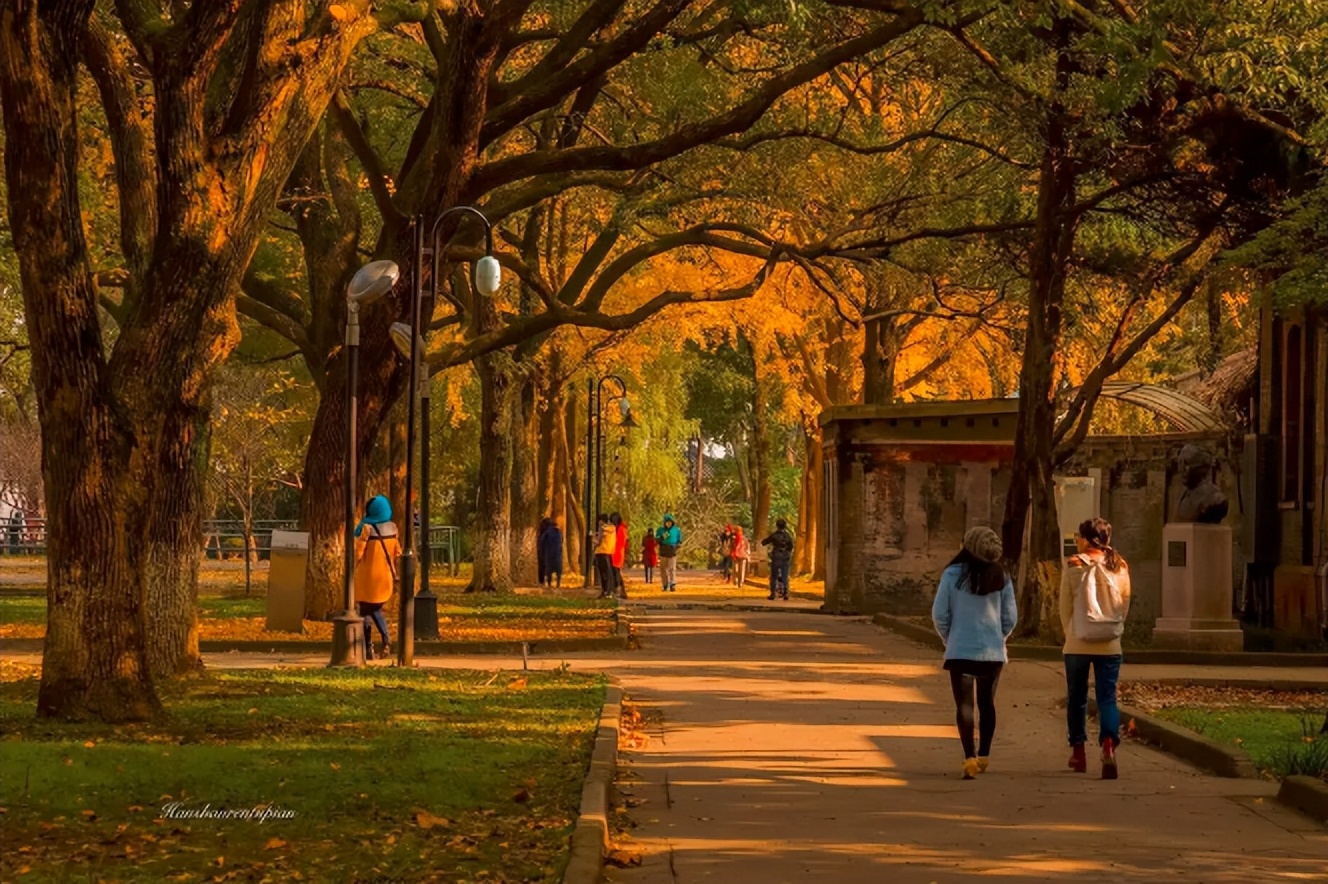 中国10所“最美”大学，清华北大上榜，厦门大学深受大学生们青睐