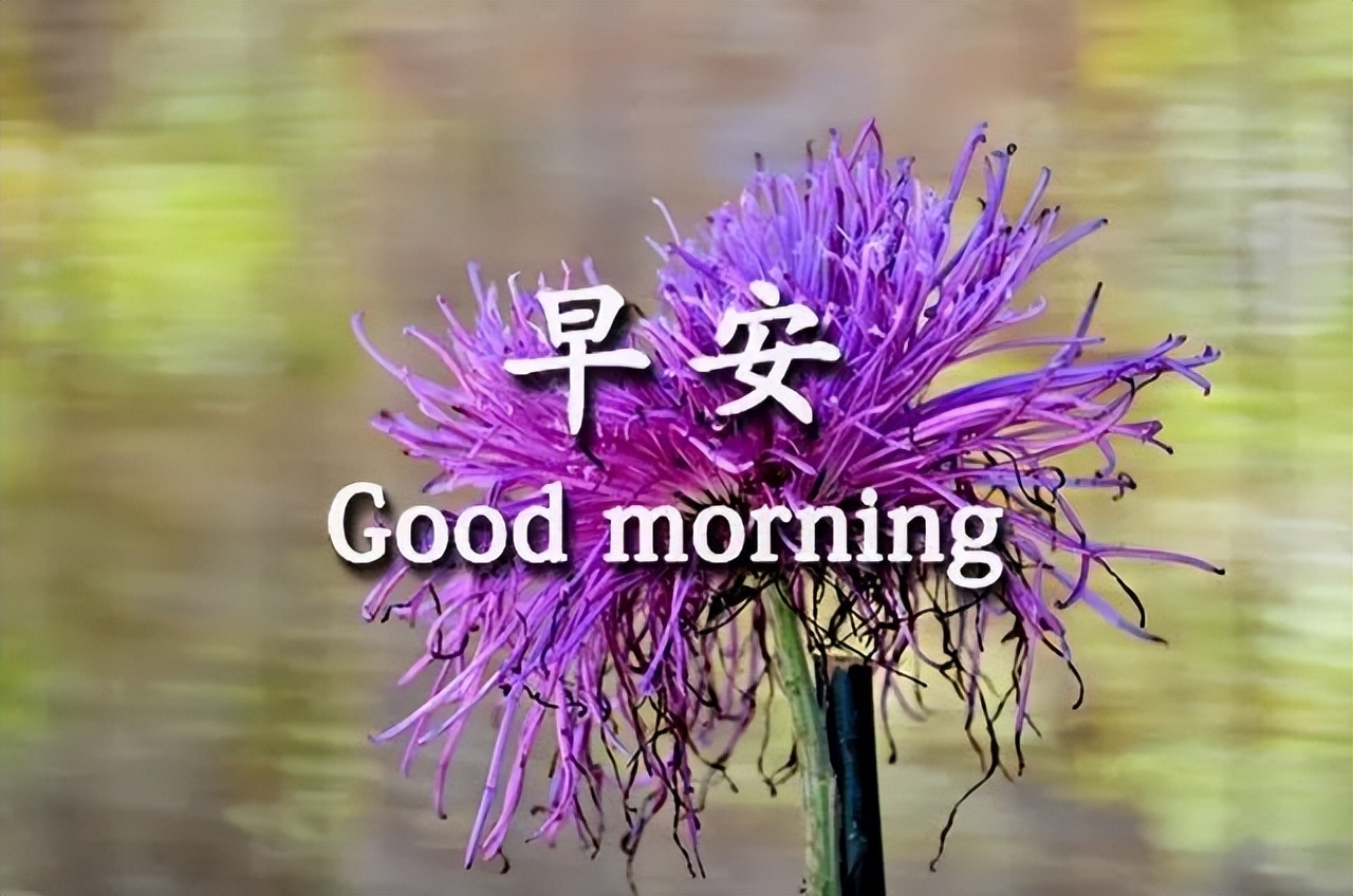 美好的一天美好的开始 早安最美祝福送给你 健康是财富 知足最快乐图片