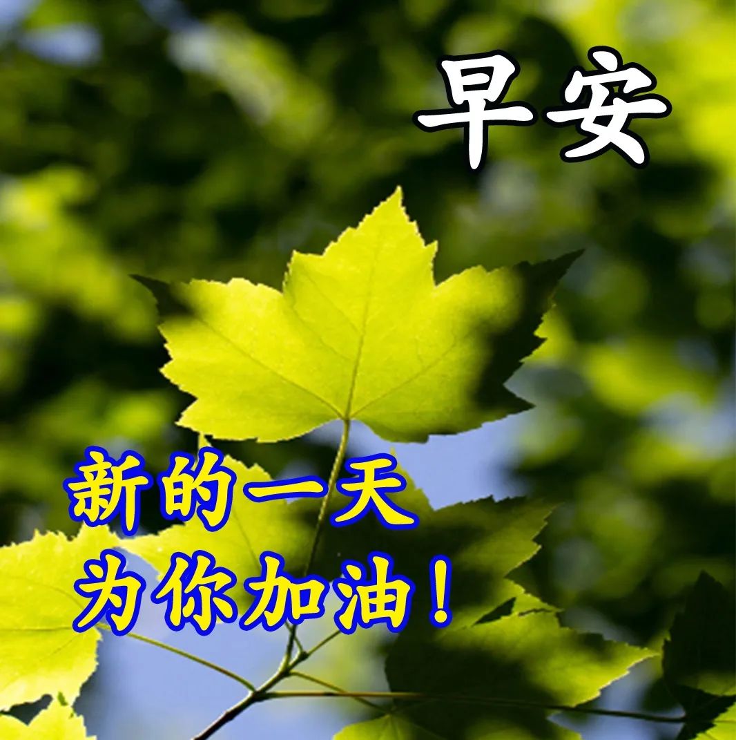 冬日清晨问候朋友早上好表情包祝福语 愿你一生被爱、一生可爱图片