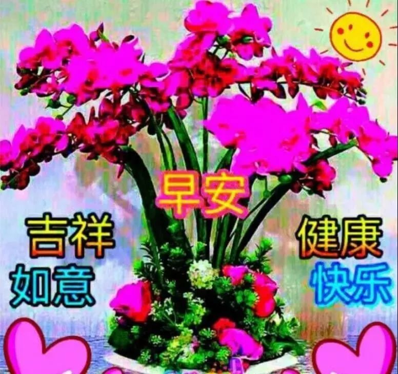 周三早上好问候语经典早上好祝福 早安幸福、快乐无边图片