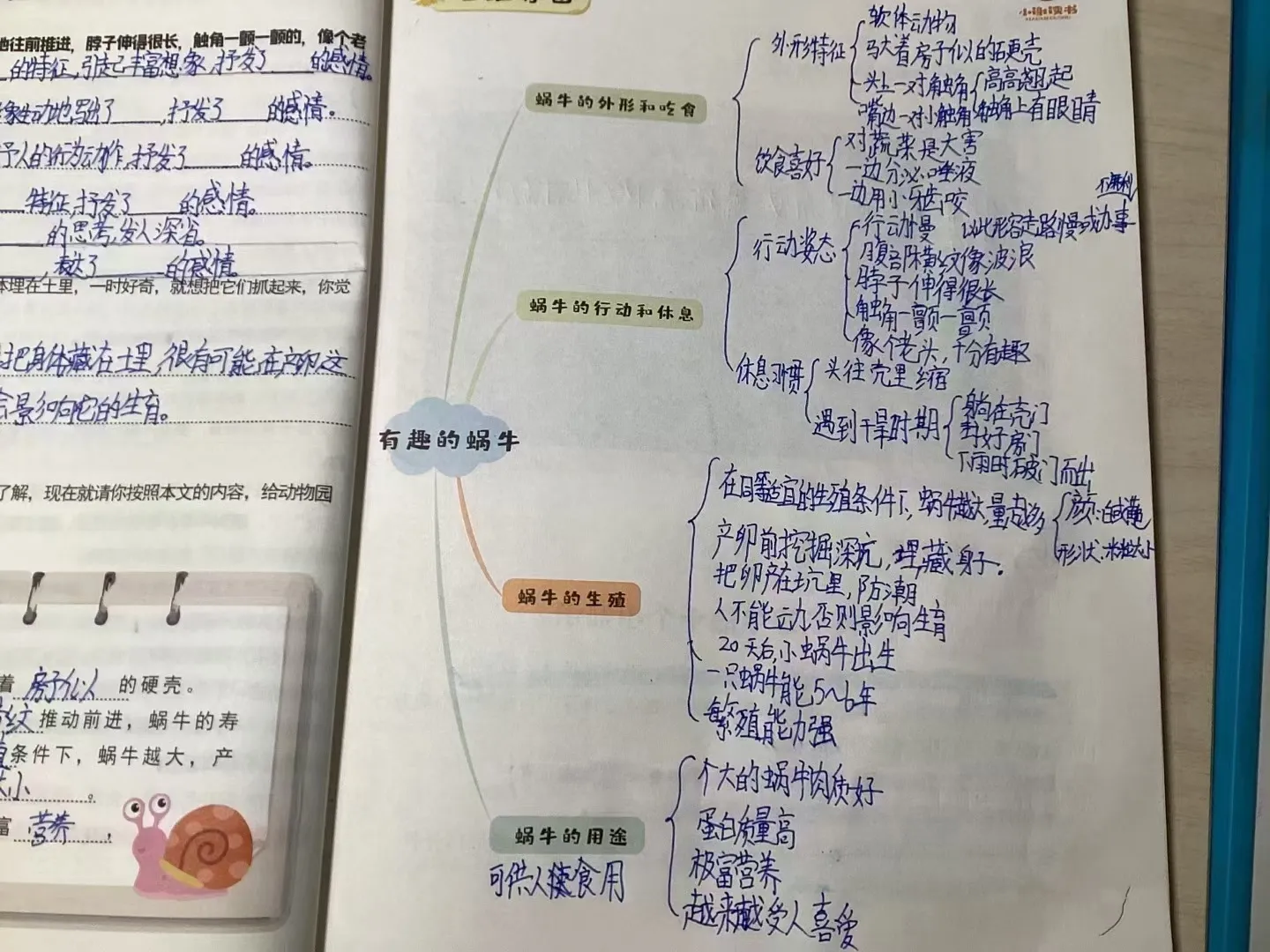 深圳重点小学，深圳南山市一小学，一位金牌班主任透露初中语文要想学得轻松