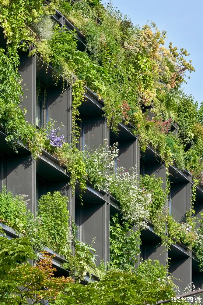 ArchDaily 2022年度建筑大奖结果公布!全球15个项目获选