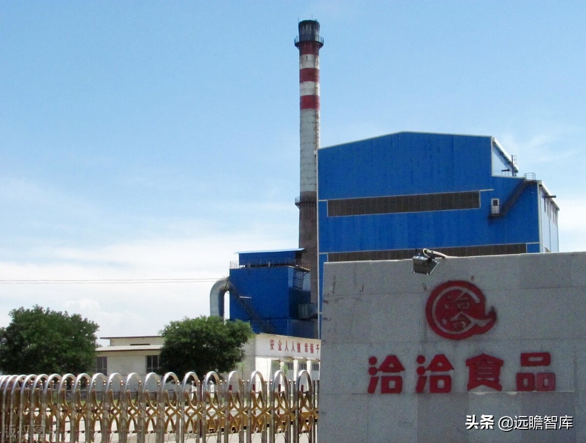 瓜子龙头地位巩固，洽洽食品：坚果持续发力，蓝海赛道空间广阔