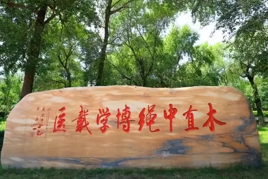 医科类高校排名最新更新：首都医科与榜首擦肩而过，广医大意难平