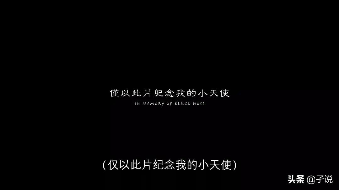 「咒」深度解析+你不知道的10件事