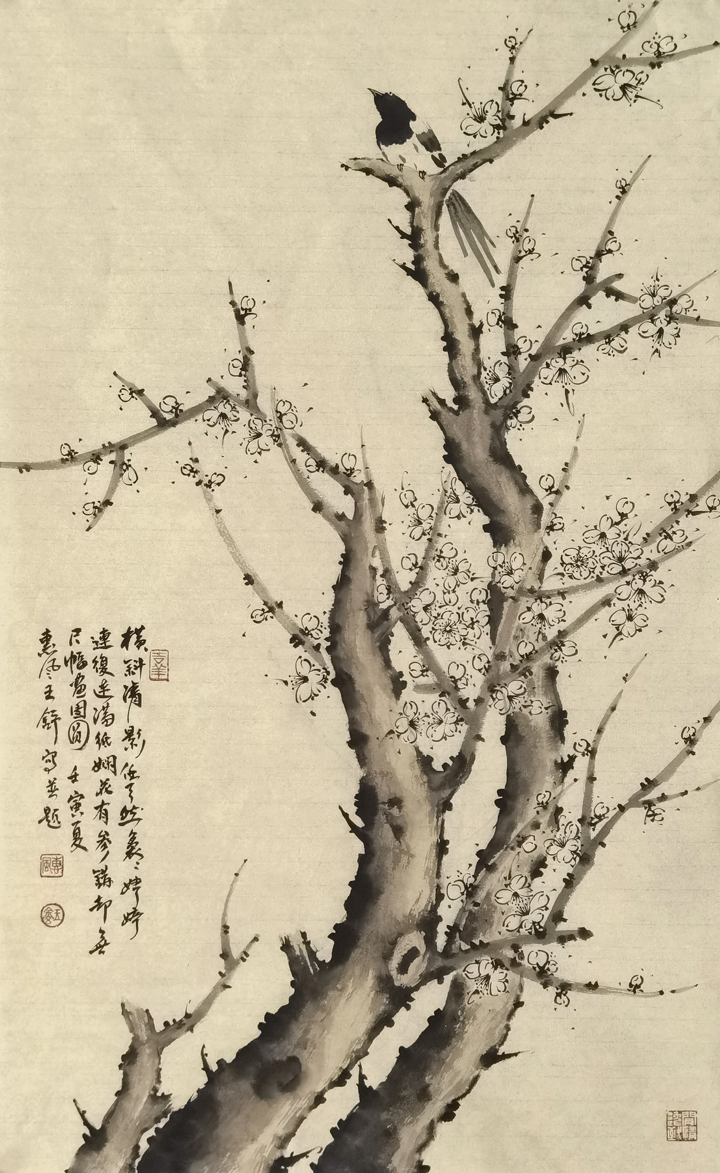 新锐画家王舒作品赏析
