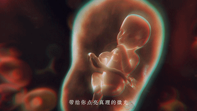 你，爱上浙大的理由是________