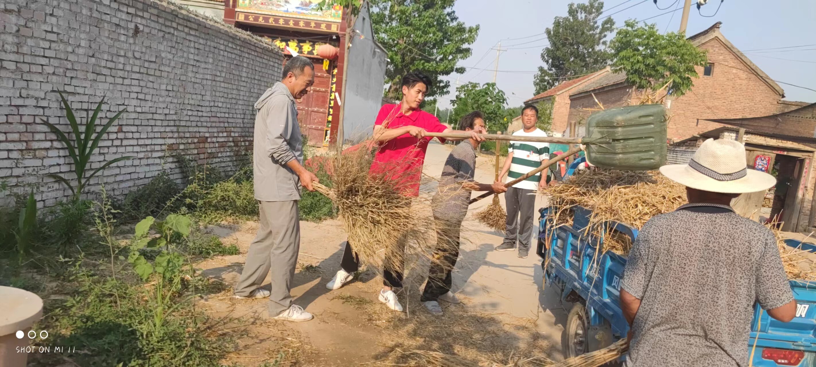 暑假三下乡图集：保护环境美化家园，禁烧秸杆水碧天蓝