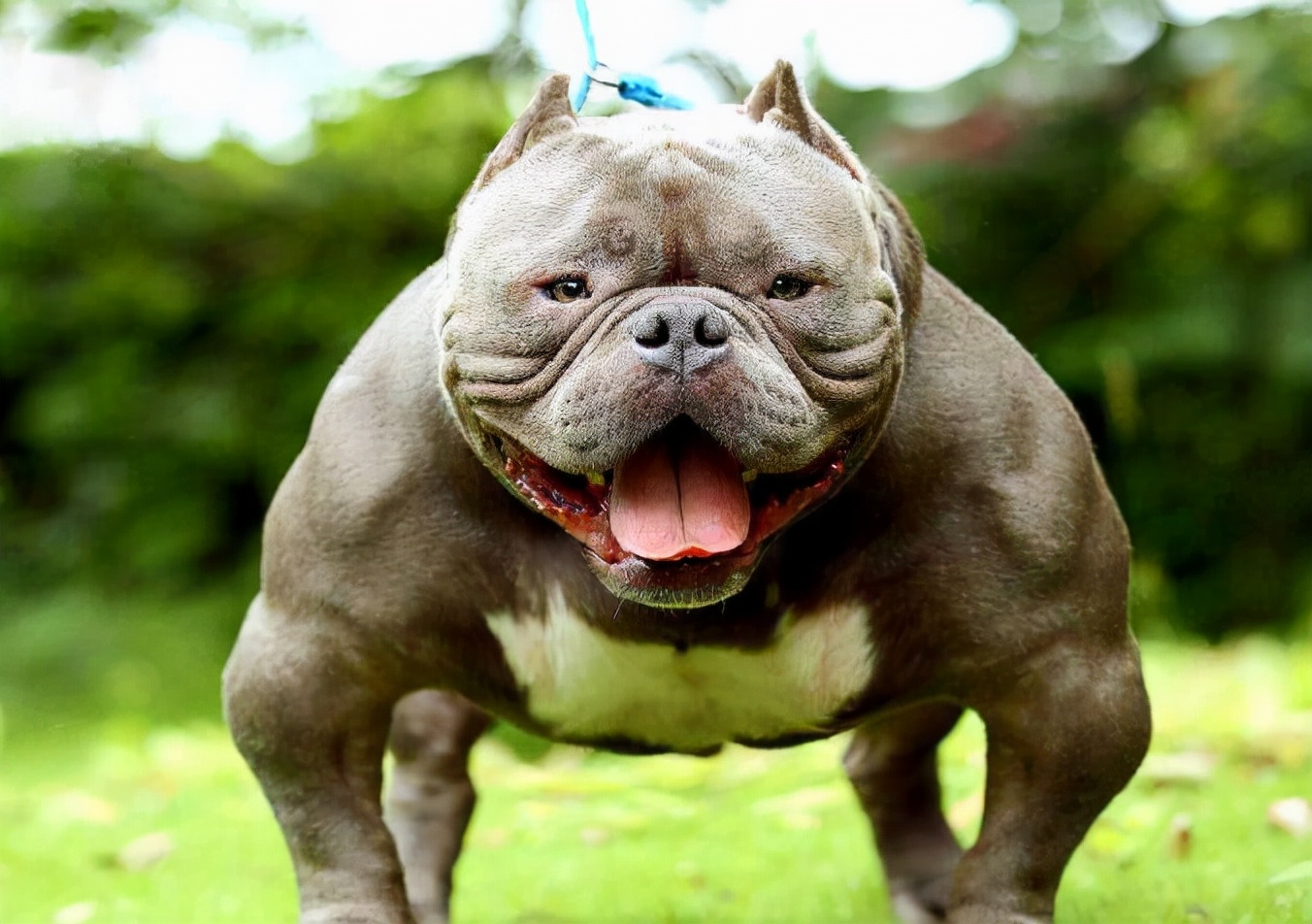 它到底哪里吸引人?