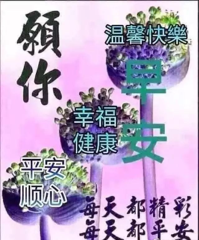 周六早上好朋友，收拾一下心情，祝福你新的一天好的心情图片
