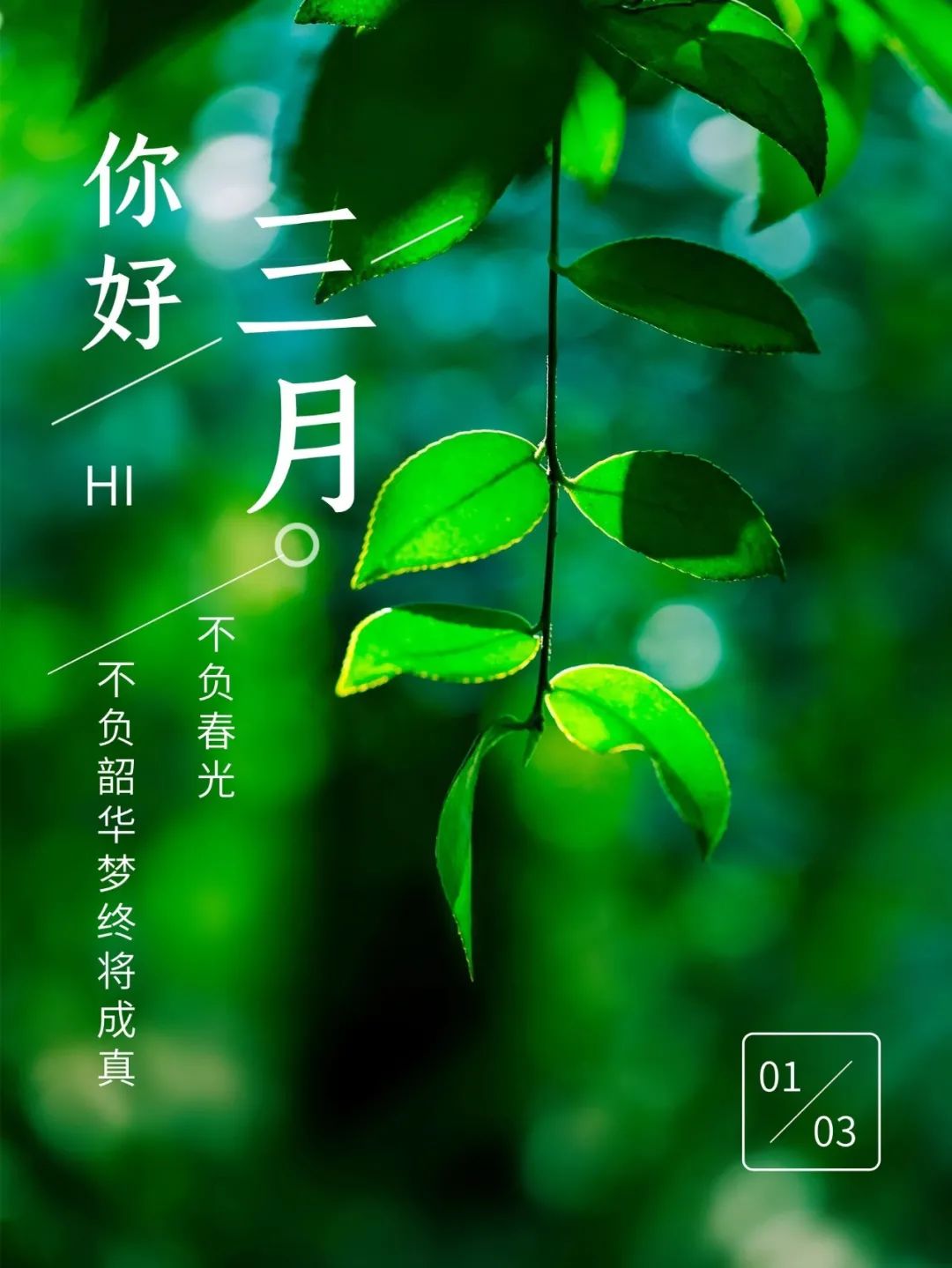「2022.03.01」早安心语，二月再见三月你好！新的一天新的开始