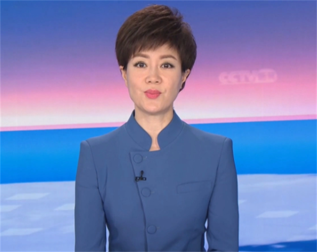 48岁央视主持李文静，戴假发10多年，与老公一直坚持成为丁克一族