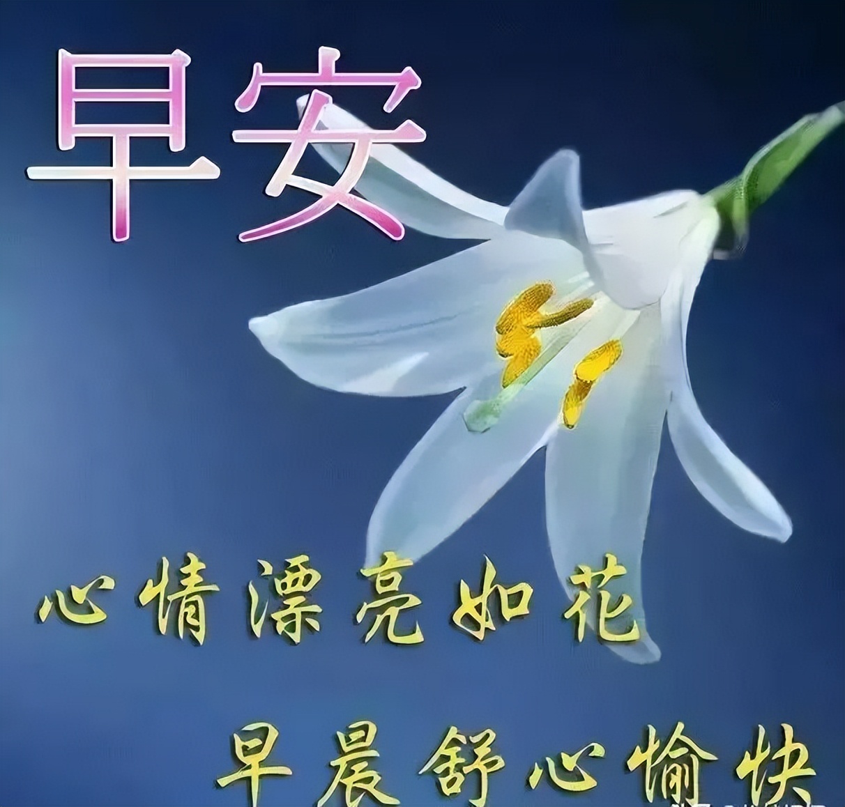春天早上好图片大全 送给朋友早上好图片问候 一句问候愿你幸福安康图片