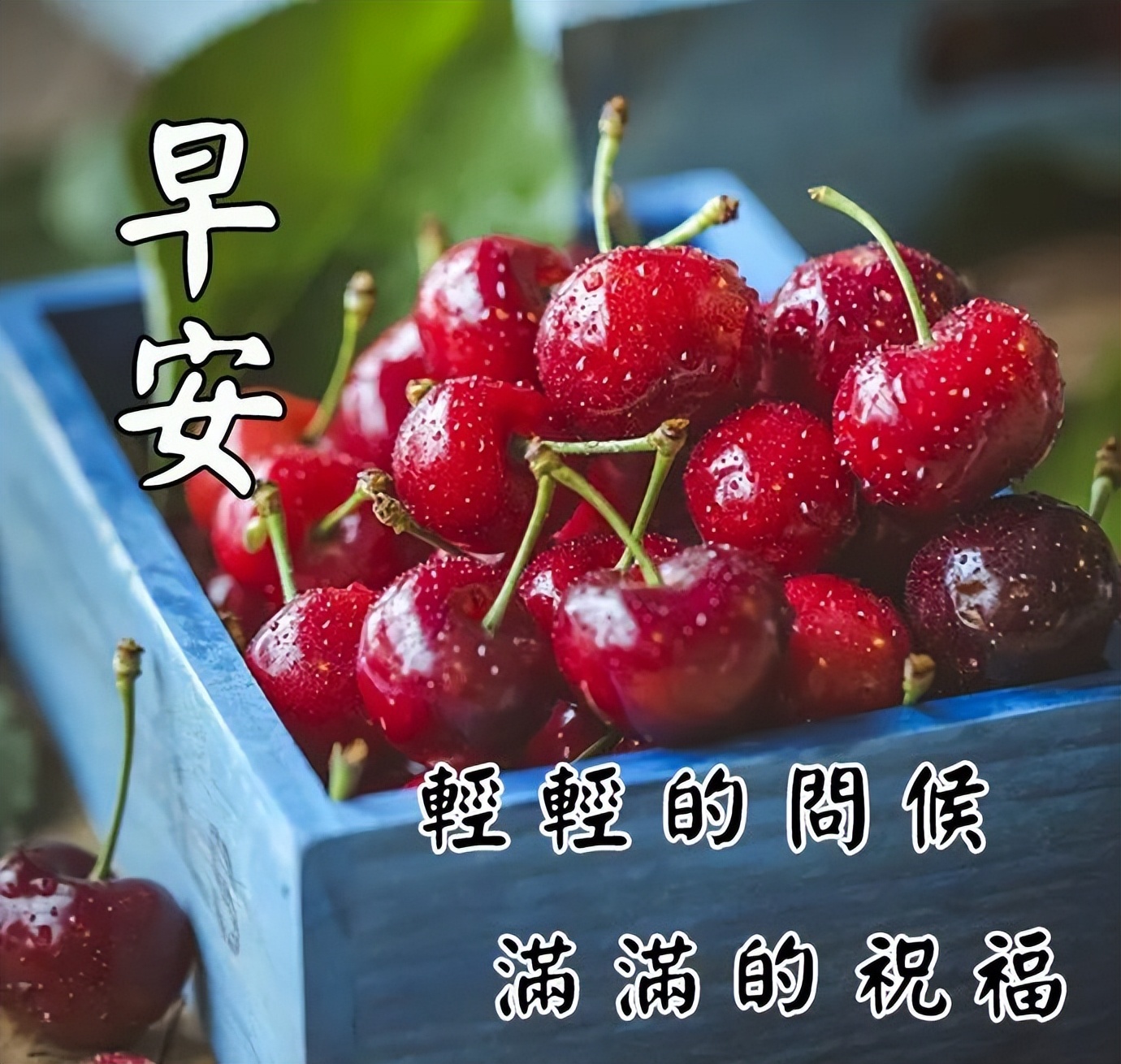 周四微信早上好动态表情 春天早上好问候语 轻轻的问候、满满的祝福图片
