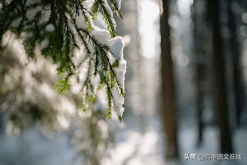 最美古诗词｜写给冬天的诗：物物皆美景，景景含真情