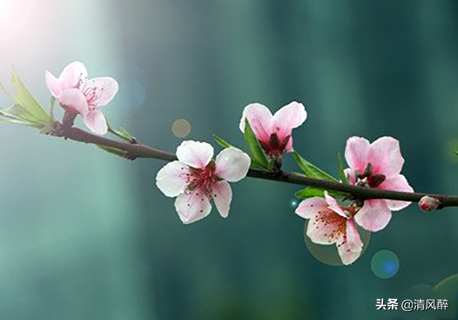 幸运的句子说说心情(20句幸运又吉祥的个性签名)