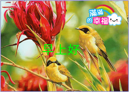 微信早上好图片带字 早上好的动态表情图片 美好的一天幸福无所不在图片