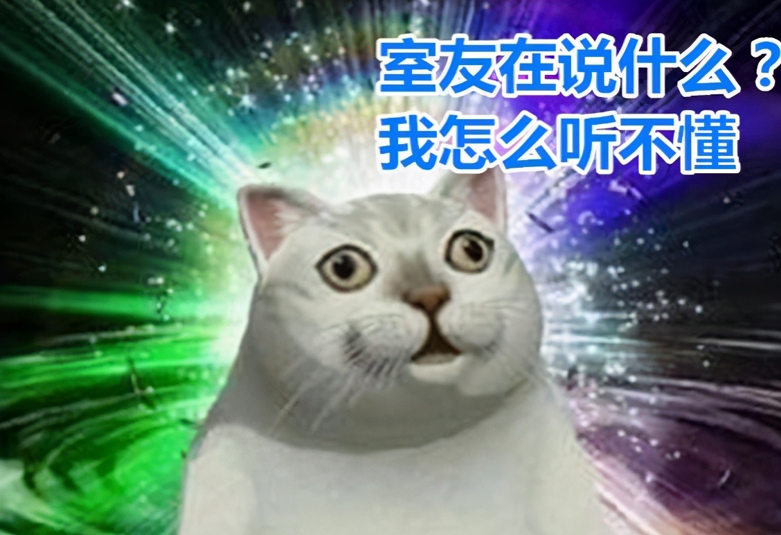 当北方学生去南方读大学，是什么样的体验？感到来到另一个世界