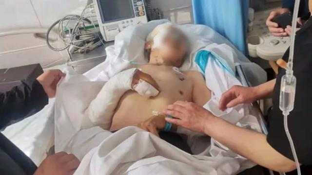 保护21年！野猪或不再是三有野生动物，但未必是好事情，为什么？