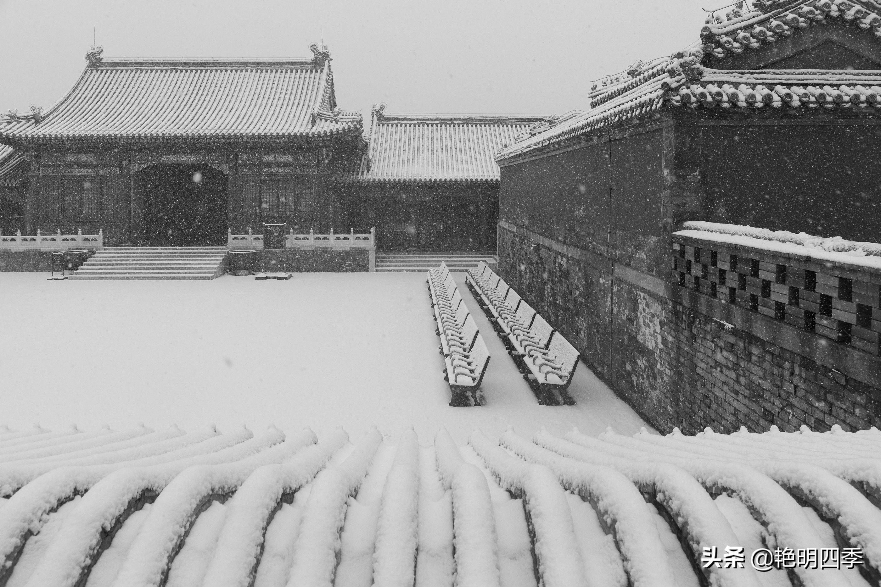 春天里，在紫禁城看一场大雪，与冬天做一个郑重的告别