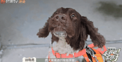 10分钟看哭7次！当他们不再“有用”的时候，却也无法正常生活