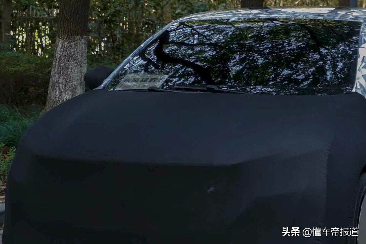 新车｜或对标速腾、轩逸，东风标致三厢轿车曝光