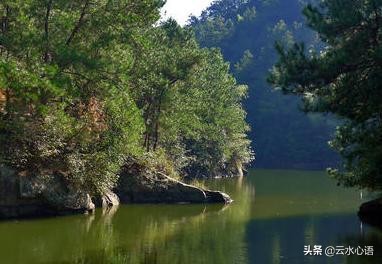 杜甫写诗赠友，这首七律之所以流传久远，都因尾联技法高超