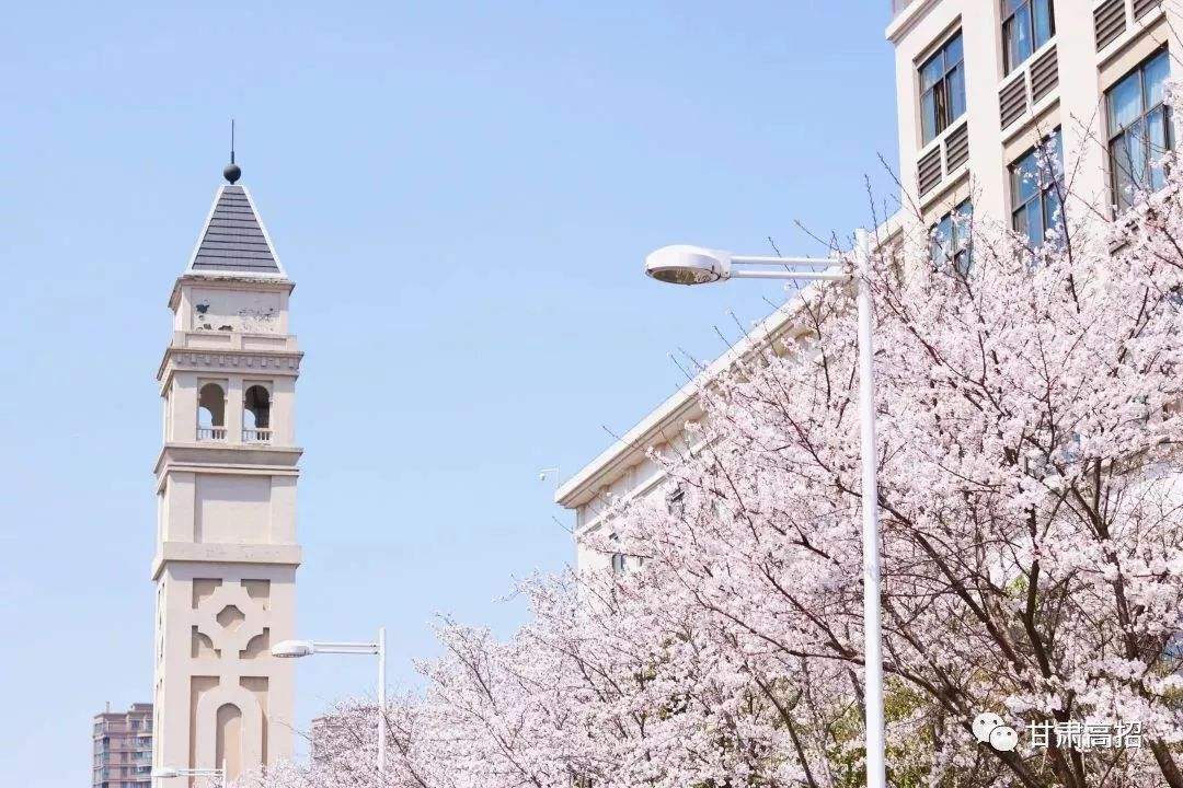 2022年中国语言类民办大学排名最新出炉：黑龙江外国语学院领跑