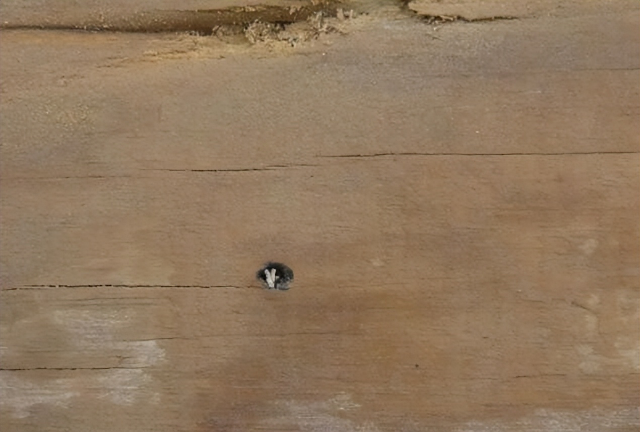 《小兵张嘎》里湿棉被挡子弹，是真是假？真枪实弹做个试验看结果