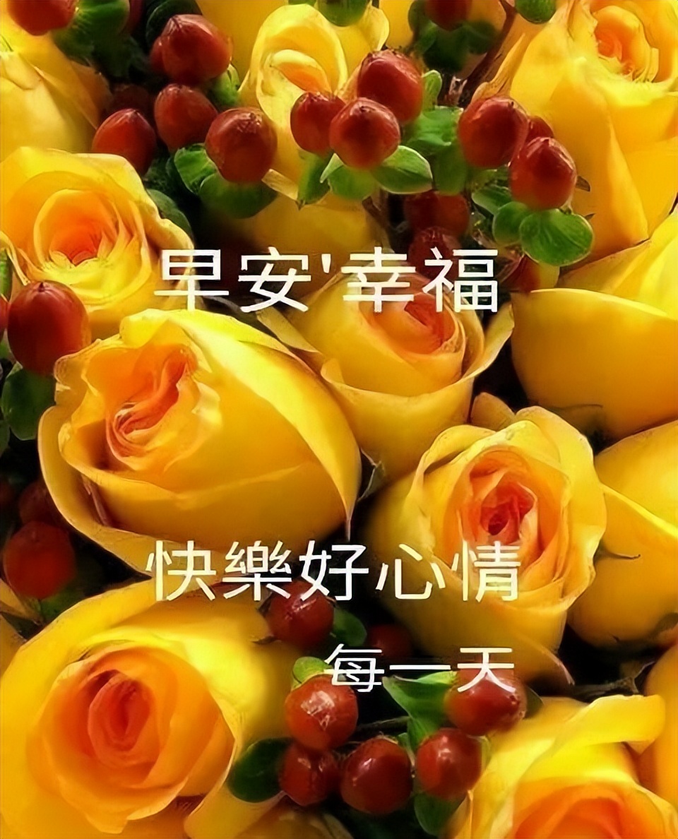 朋友圈早安励志文案，舍才是得最大的机会图片