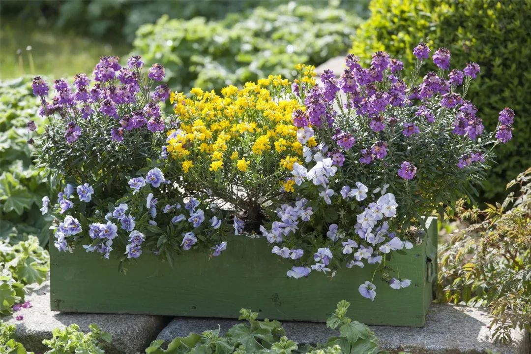 56范文（高中） | 传统文化类作文，可巧用古诗词串连凸显主旨