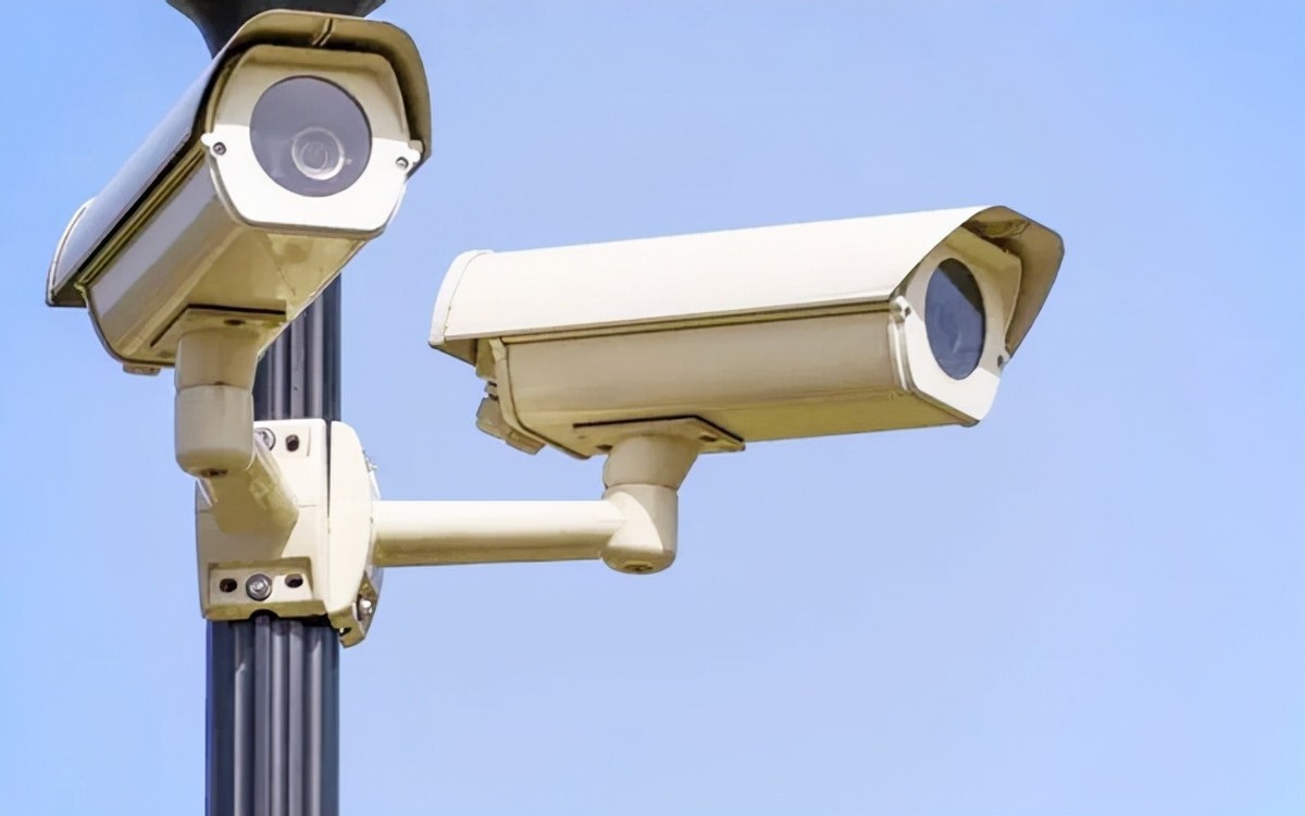 广东陆丰一黑社会落网记：出租车司机开车压死鸡，遭索赔180万