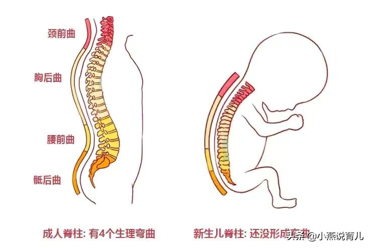 3个月的宝宝睡觉时，频繁摇头正常吗？这些原因，家长要了解