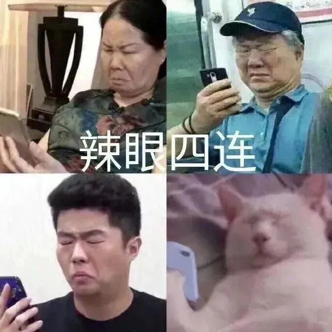 表情包睡吧，梦里都有