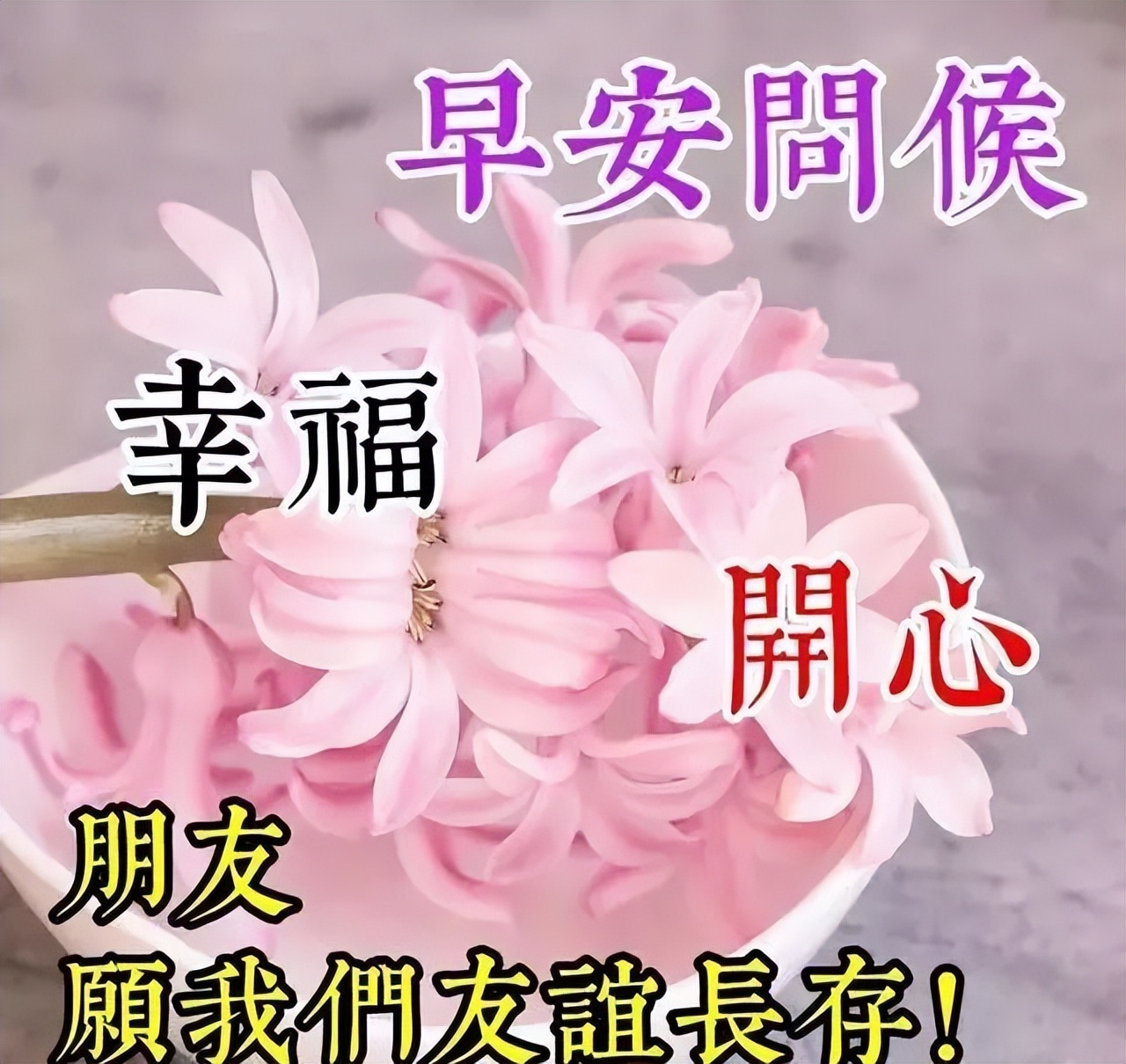 周末分享早上好表情包，轻轻祝福，平安健康伴随你，珍惜珍爱珍重图片