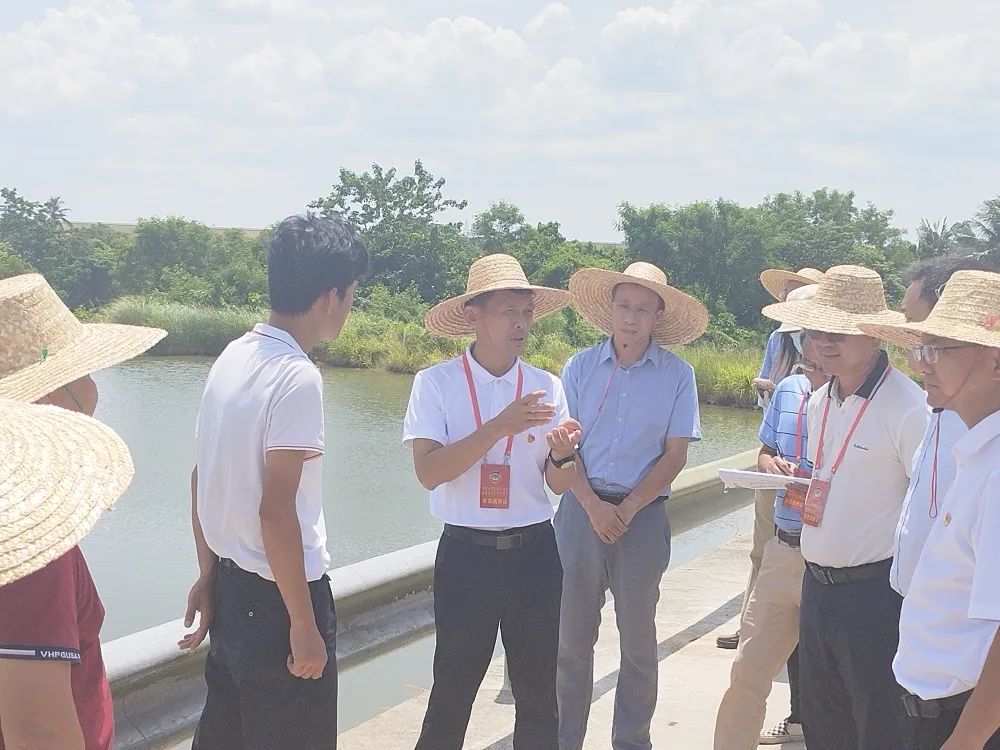 东方市政协与东方市检察院联合开展助力 “六水共治”的监督协作调研