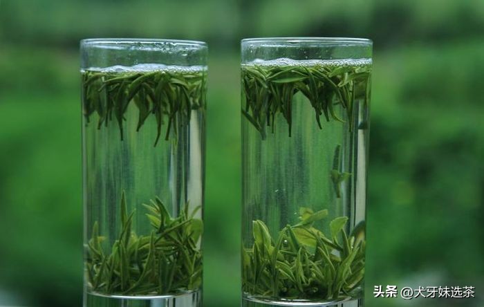 喝茶，价钱贵不贵，一点也不重要！好喝不好喝，也不十分重要,最最重要的是什么？别给