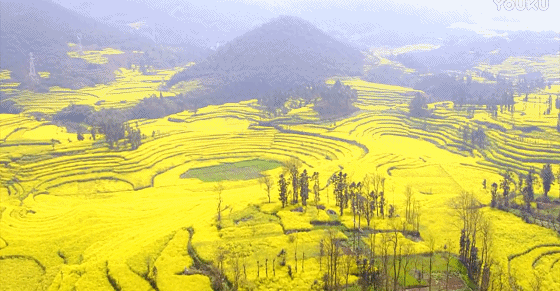 快开啦！这些地方的春景正在悄悄席卷全国，大气又美丽，别错过
