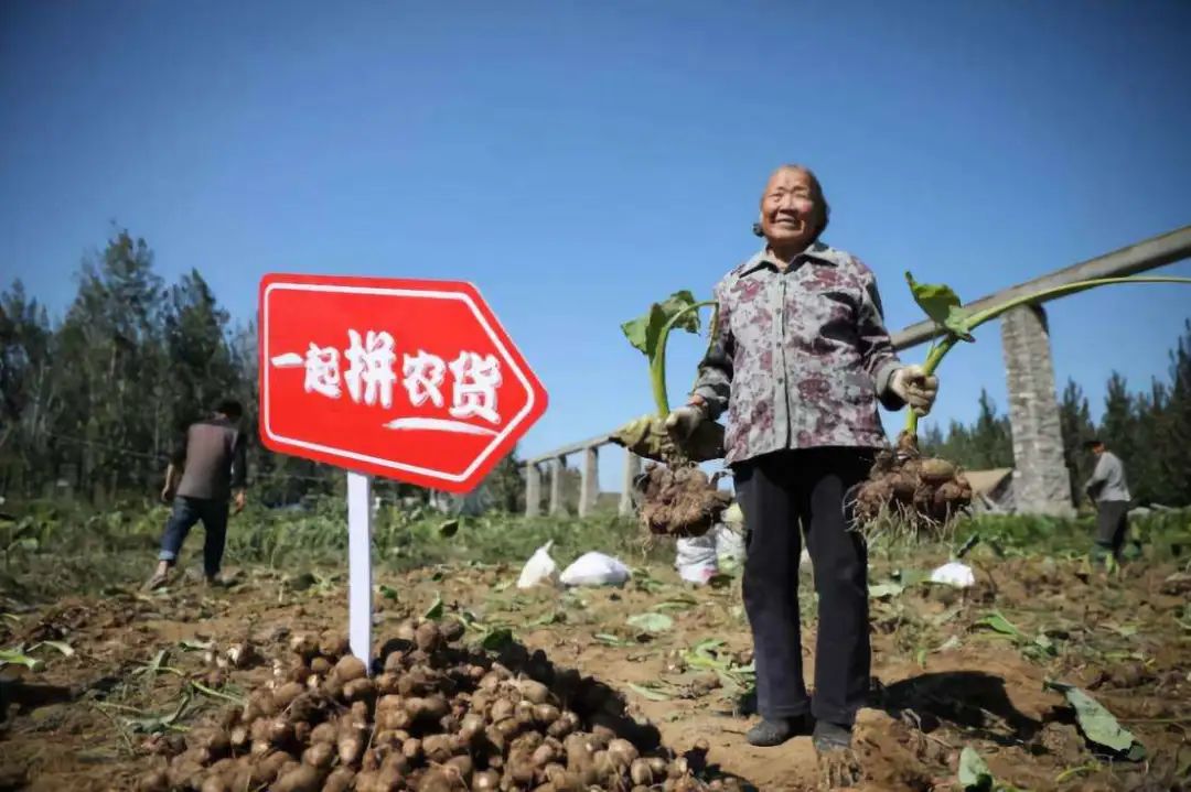 拼多多到底还能走多远？取决于一个问题