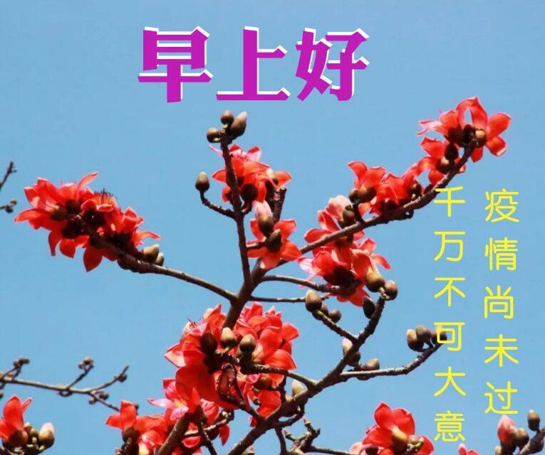 星期三清早祝福大家早上好的问候语美图 保持好心情、好运伴你行图片