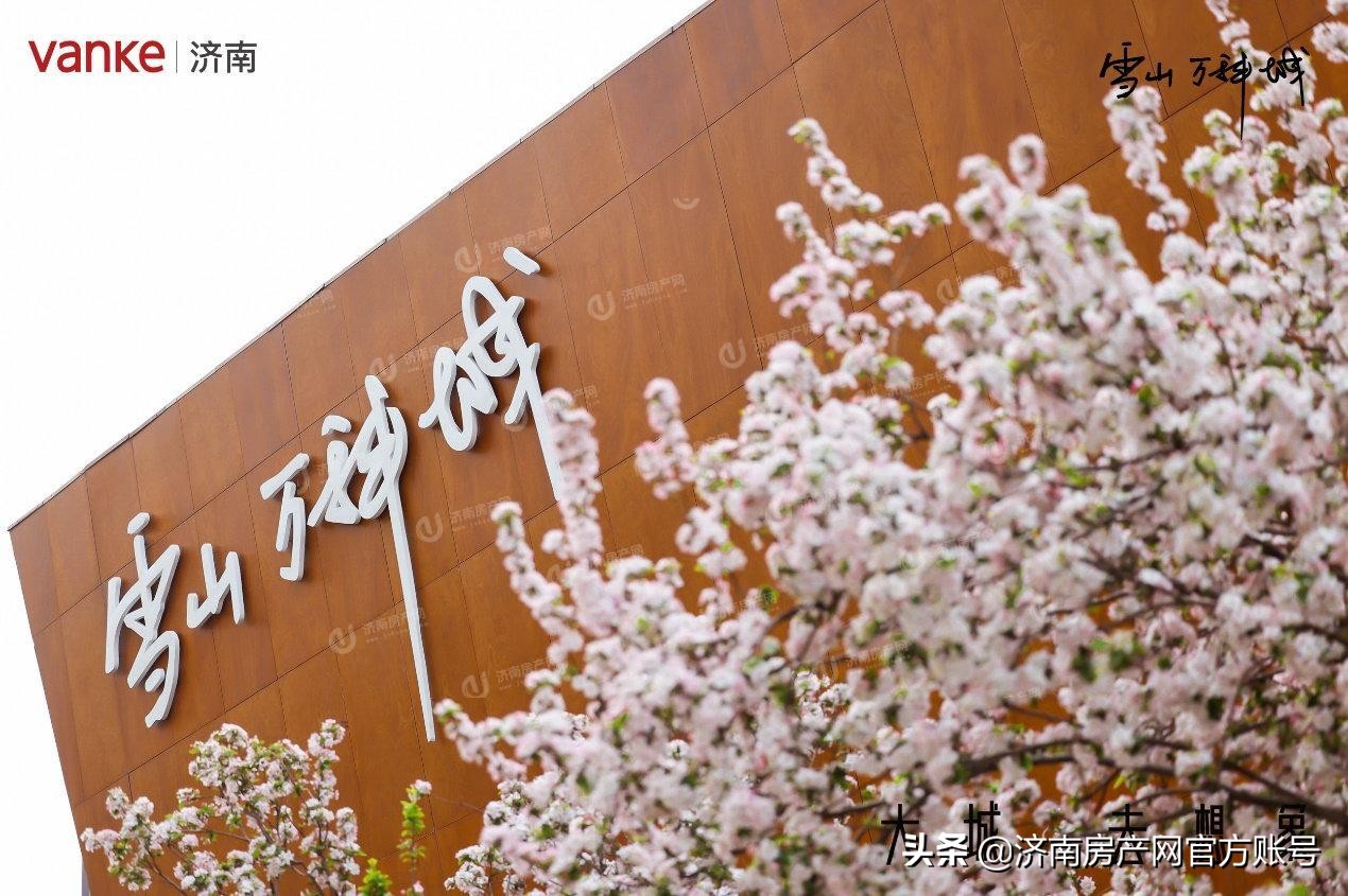 济南雪山万科城：95-165㎡，低密装修美宅，签约历城二中教育集团