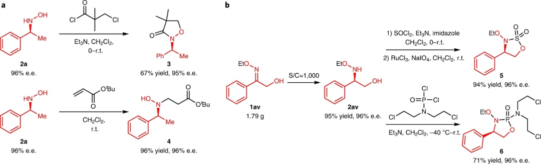 Ni催化，张万斌团队最新Nature Chemistry