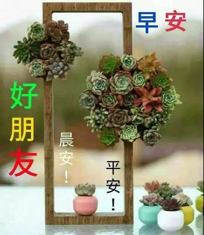 今天早安祝福语，新的一天早上好问候语，天虽然冷，问候却很温暖图片