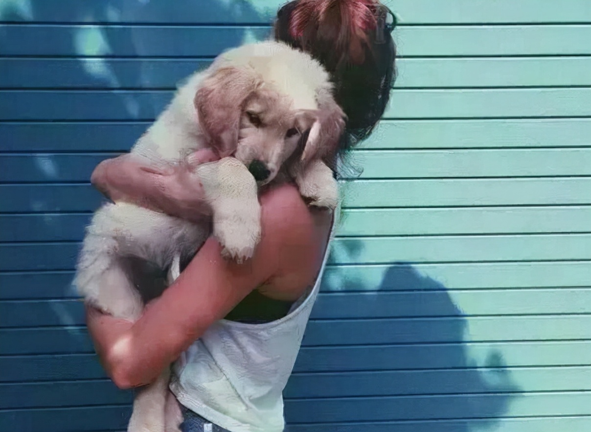 正确&错误的抱狗狗姿势,铲屎官要知道