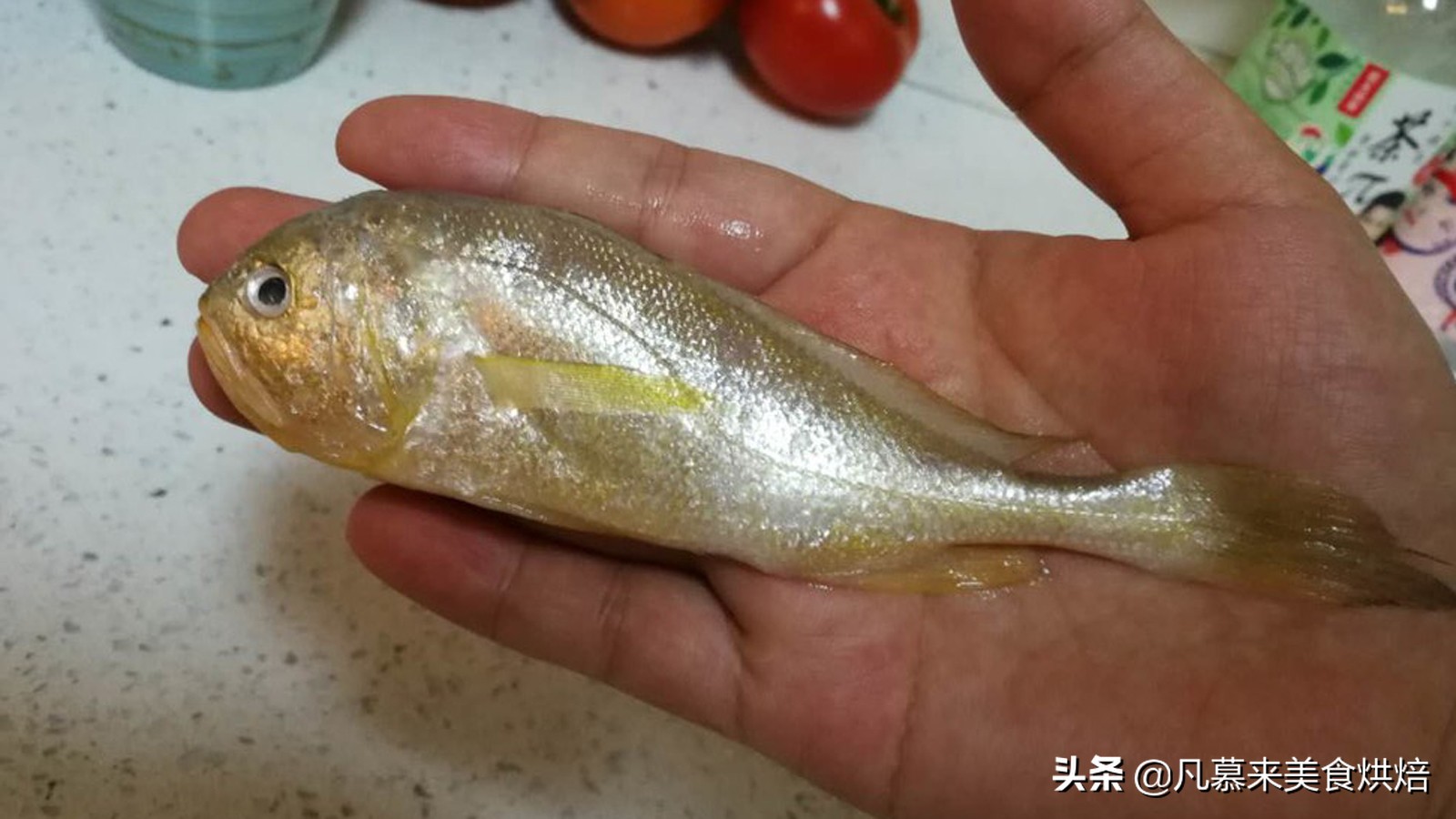 黄瓜鱼跟黄花鱼的区别（不同鱼类品种区别分享）