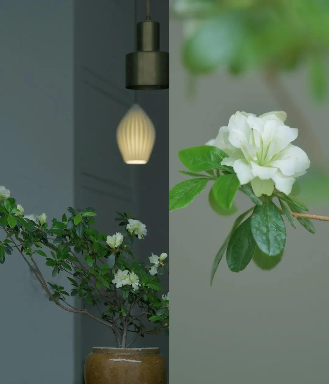 《善之韵：心灵深处的温柔诗篇》