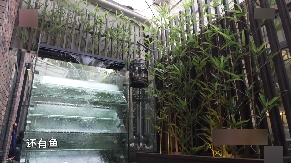 院子再小也要造个水景，鱼池上面架玻璃，人在上面走，鱼在下面游