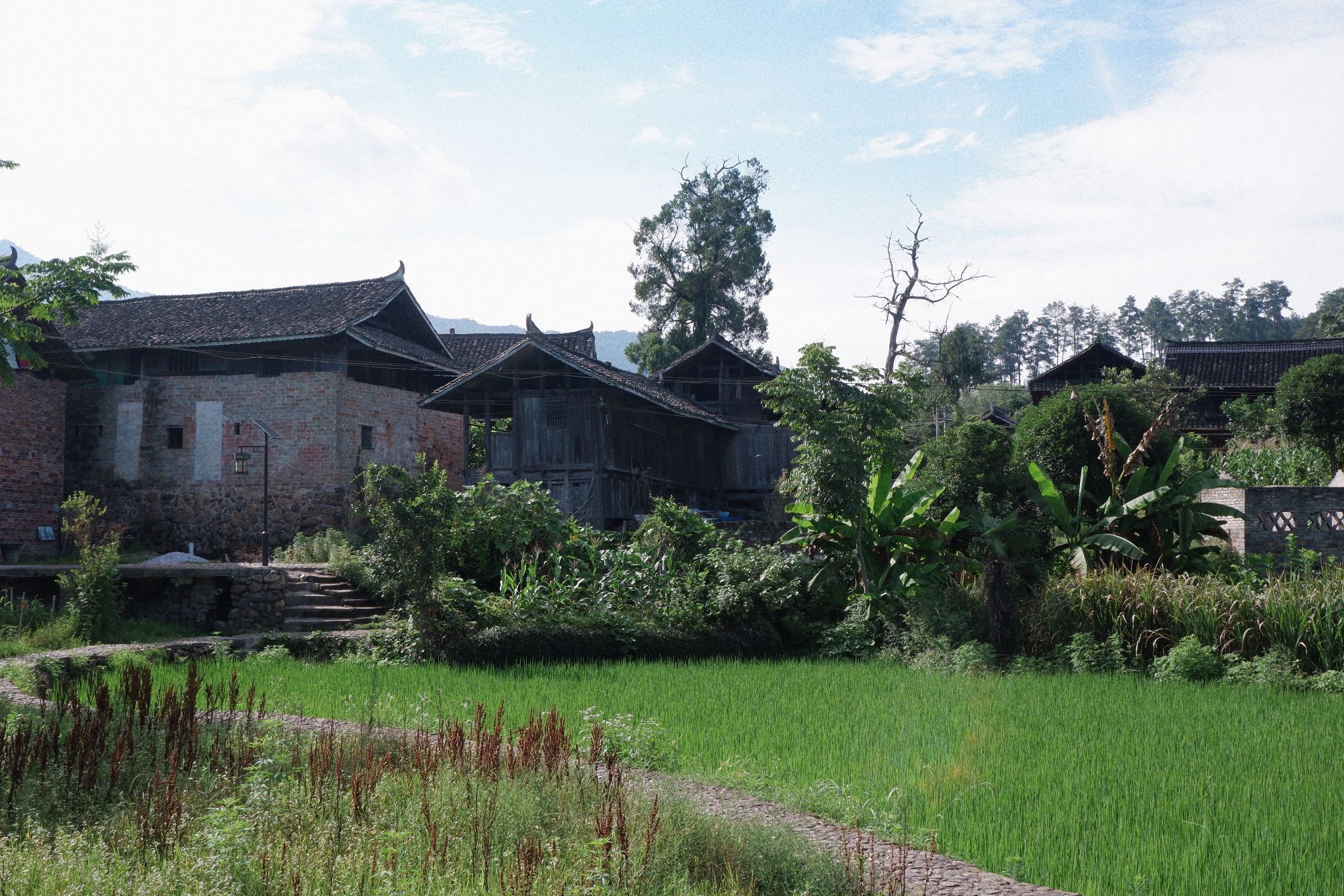 湖南千年村落，《爸爸去哪儿》的拍摄地，明星走后村落又恢复平静
